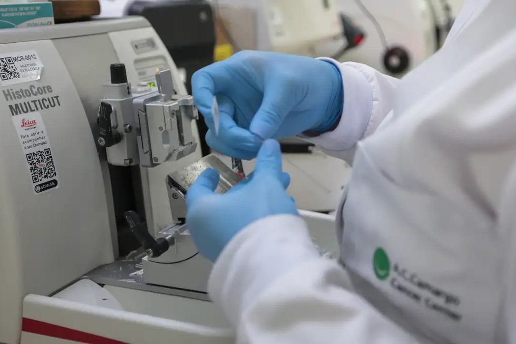 Saúde: Cura do câncer de próstata pode chegar a 98%, aponta especialista da Sociedade Brasileira de Urologia