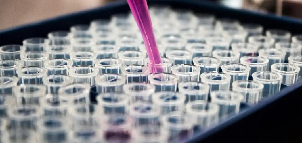 Saúde: Pesquisadores brasileiros avançam no diagnóstico precoce da doença de Alzheimer