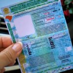 Habilitação: Governo define regras para instrutor de trânsito autônomo e promete redução no custo da CNH