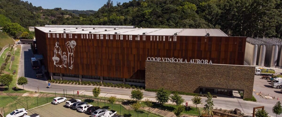 Negócios: Cooperativa Vinícola Aurora reforça liderança sustentável com novos avanços em governança, inclusão e meio ambiente