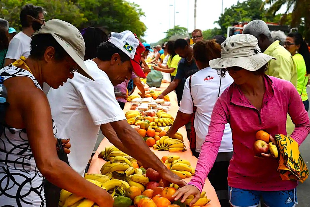 Solidariedade: Ação da Cidadania lança campanha Natal Sem Fome 2025 com meta de 2 mil toneladas de alimentos
