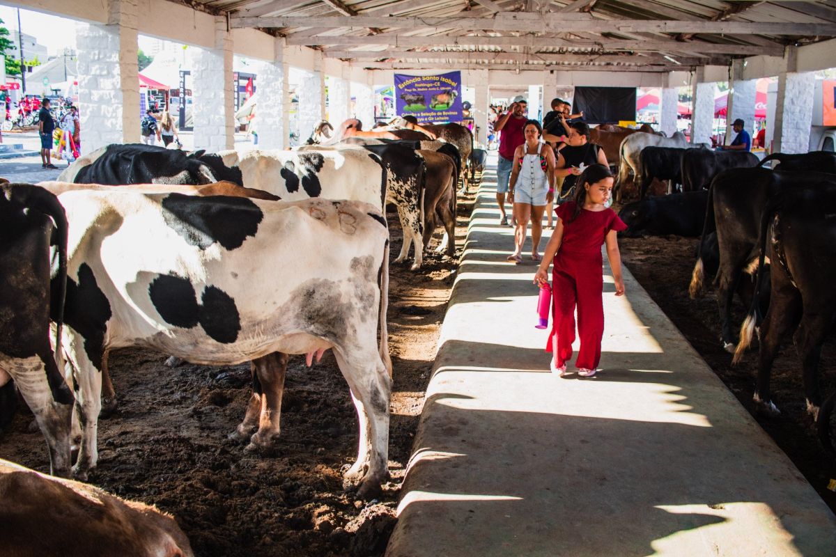 Agronegócio: De Assis Diniz destaca importância da EXPOECE 2025 como símbolo do crescimento da agropecuária cearense