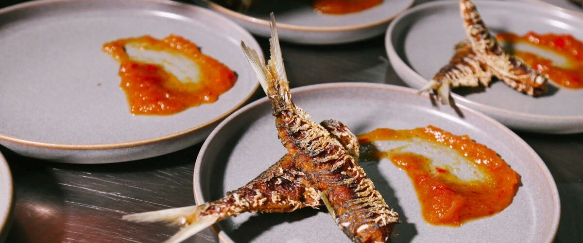 Cultura: Festival da Sardinha 2025 promete agitar Águas Belas com gastronomia, cultura e grandes shows