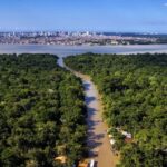 Impasse marca 4º dia da COP30 em Belém: países ricos cobram metas e emergentes exigem financiamento climático