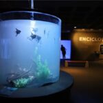 AquaFoz: novo aquário gigante transforma Foz do Iguaçu em referência sul-americana em turismo e conservação