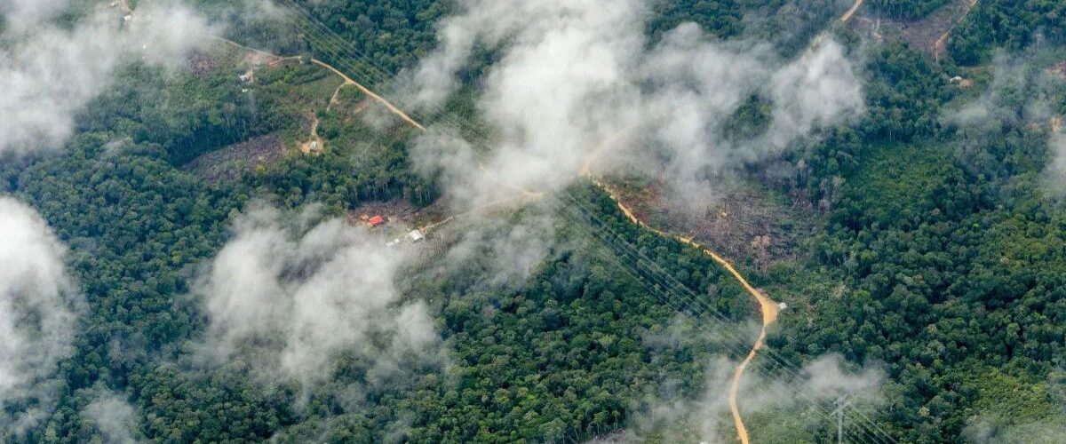 Meio Ambiente: Alemanha confirma aporte de 1 bilhão de euros para florestas tropicais, anuncia Marina Silva na COP30