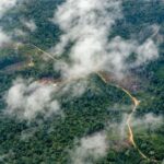 Meio Ambiente: Alemanha confirma aporte de 1 bilhão de euros para florestas tropicais, anuncia Marina Silva na COP30