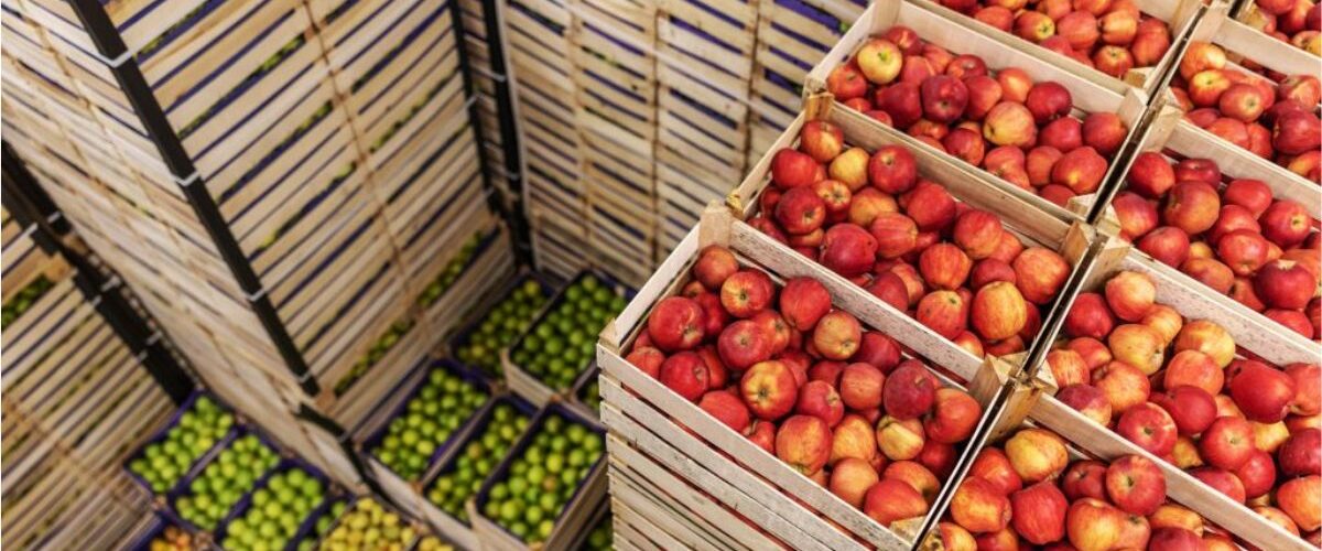 Agronegócio: EUA reduzem tarifas agrícolas e abrem espaço para aliviar exportações do Ceará