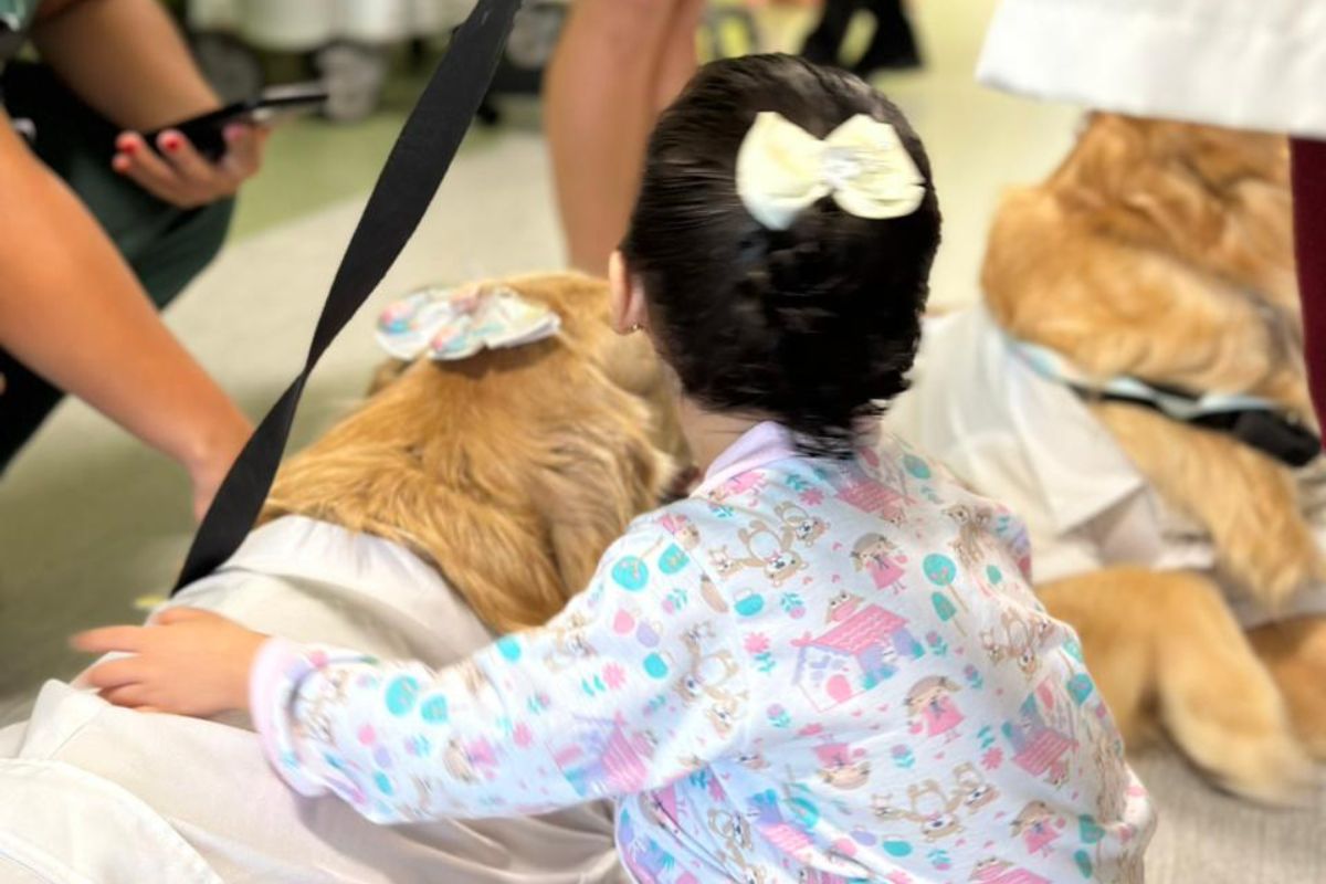 Saúde: Cães terapeutas levam acolhimento ao Hospital Unimed Sul em nova ação do Projeto Pet Amigo