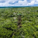 Meio Ambiente: Ceará leva a pauta da Caatinga à COP 30 e reforça papel do semiárido no combate à crise climática