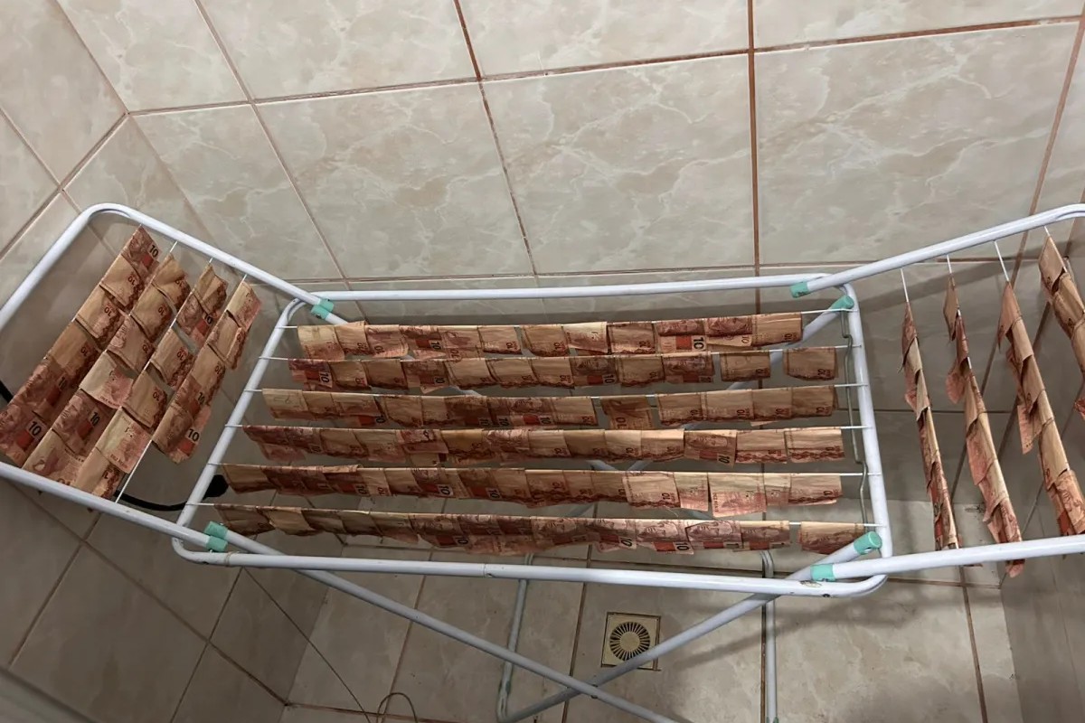 Investigação: Polícia encontra R$ 400 mil “secando” em varal durante operação contra lavagem de dinheiro em Santa Catarina