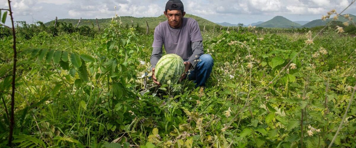 Agronegócio: Sistema Fecomércio promove encontro para discutir o futuro da agricultura familiar com jovens cearenses