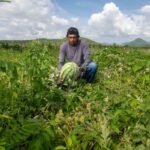 Agronegócio: Sistema Fecomércio promove encontro para discutir o futuro da agricultura familiar com jovens cearenses