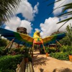 Black Friday 2025: Beach Park lança descontos exclusivos no Arvorar, Aqua Park, hospedagem e passaportes