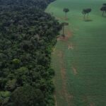 Meio Ambiente: Roteiro sustentável para Amazônia pode gerar 312 mil empregos e injetar R$ 40 bilhões na economia brasileira