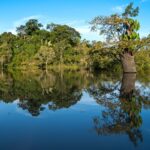 Opinião: O seguro como arquitetura da confiança climática