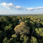 COP30 em Belém: o que esperar da Conferência do Clima que reunirá líderes mundiais no coração da Amazônia