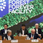 Meio Ambiente: Fundo Florestas Tropicais para Sempre atinge US$ 5,5 bilhões em aportes e reforça compromisso global com o clima