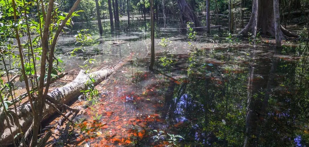 Arqueologia: Pesquisadores descobrem primeiras evidências de dinossauros na Amazônia após achados em Roraima