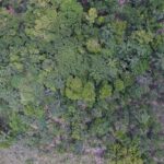 Cultura: Exposição digital “Você Já Escutou a Terra?” apresenta histórias de vida nos seis biomas brasileiros