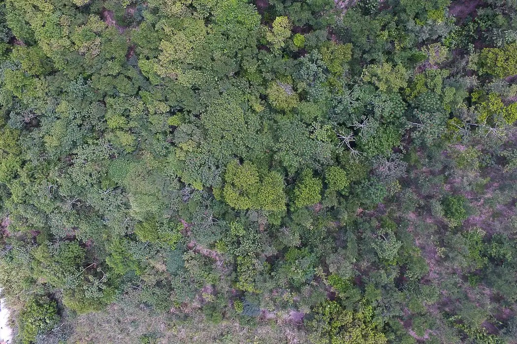Cultura: Exposição digital “Você Já Escutou a Terra?” apresenta histórias de vida nos seis biomas brasileiros