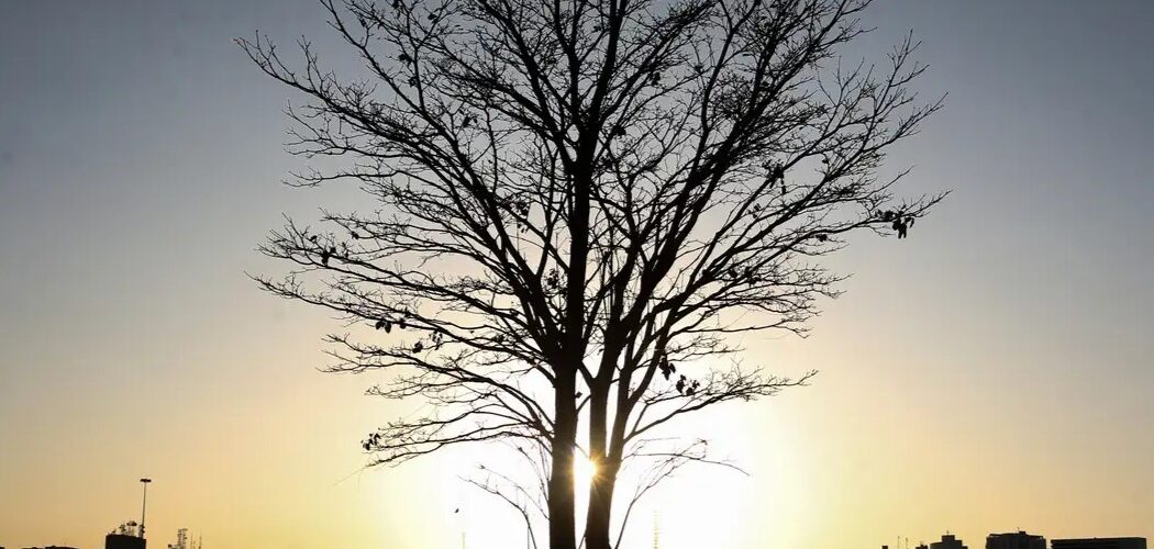 Cientista alerta: aquecimento global pode ultrapassar limite seguro por tempo prolongado