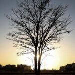 Cientista alerta: aquecimento global pode ultrapassar limite seguro por tempo prolongado