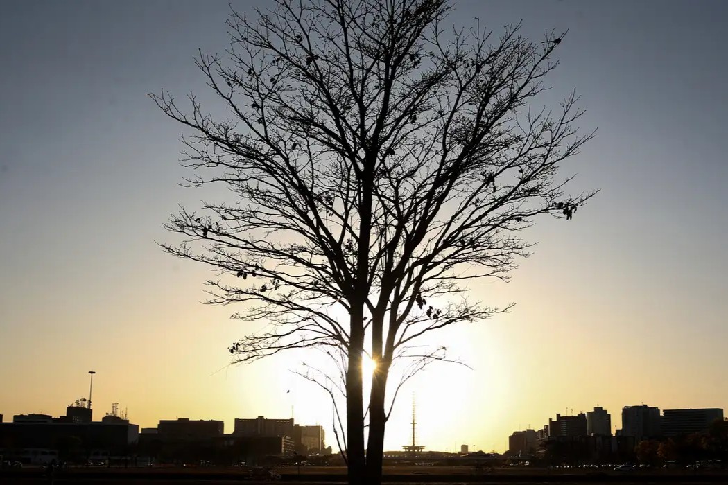 Cientista alerta: aquecimento global pode ultrapassar limite seguro por tempo prolongado