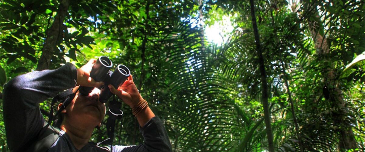 Ecoturismo: Turismo de observação de aves ganha novo catálogo lançado pelo Ministério do Turismo