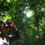 Ecoturismo: Turismo de observação de aves ganha novo catálogo lançado pelo Ministério do Turismo