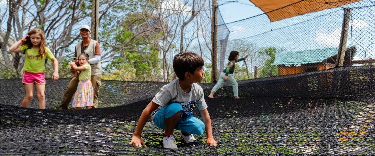 Diversão: Parque Arvorar, do Beach Park, funciona nos feriados de fim de ano e vira opção de lazer ao ar livre no Ceará