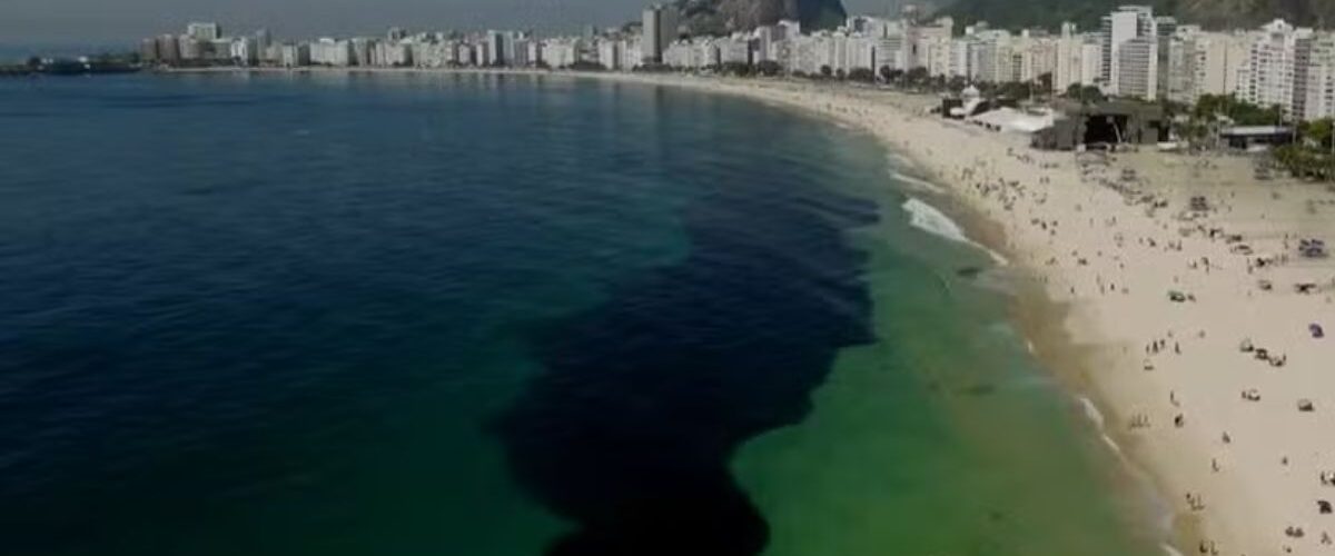 Fenômeno: Cardume de manjubinhas transforma Copacabana em espetáculo de vida marinha