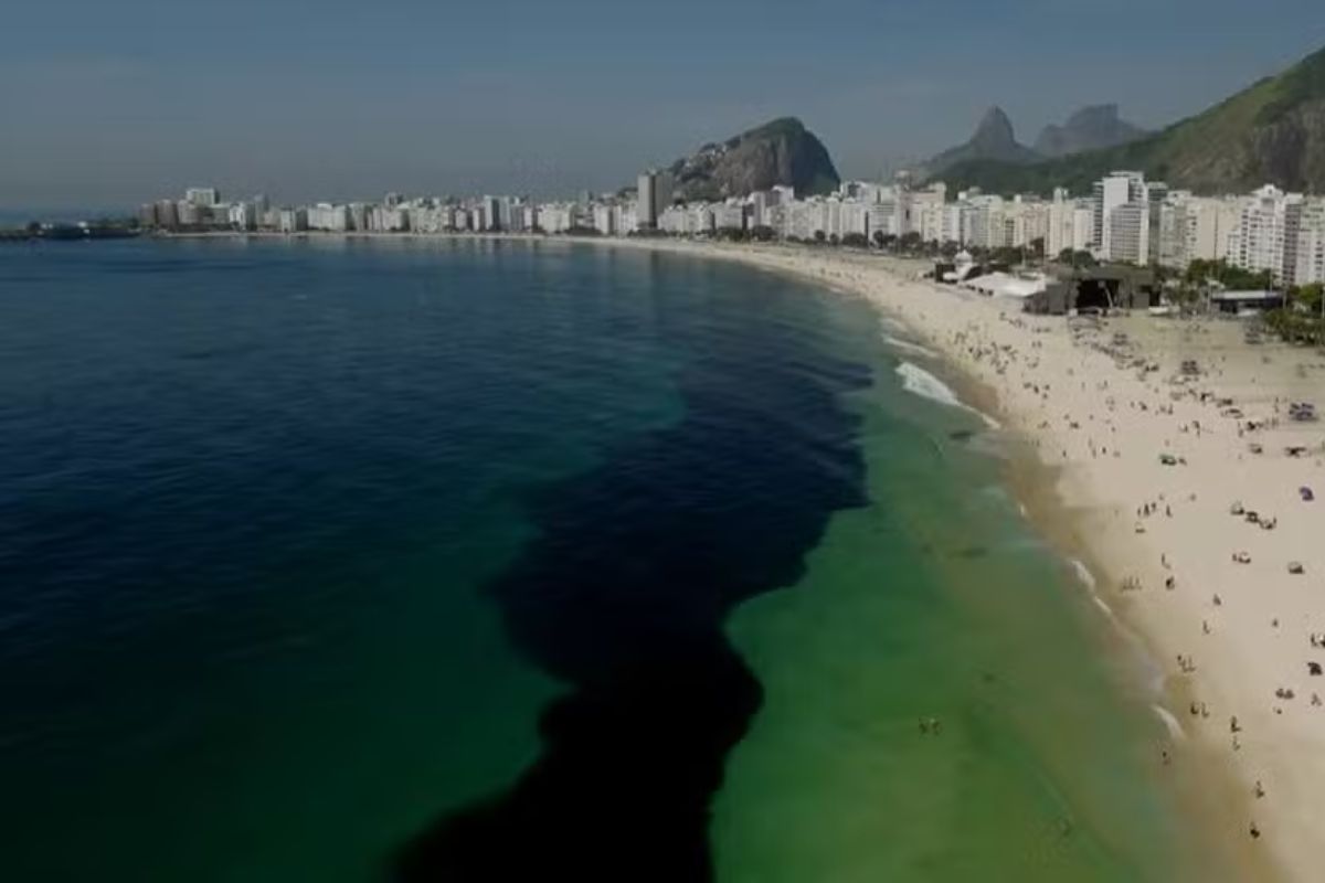 Fenômeno: Cardume de manjubinhas transforma Copacabana em espetáculo de vida marinha