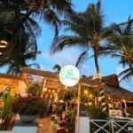 Negócios: Jardins Lounge Bar bate recorde de reservas para confraternizações e lança decoração natalina sustentável inédita em Fortaleza