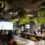 Negócios: Economia de impacto ganha força no Brasil e inaugura novo ciclo de crescimento sustentável