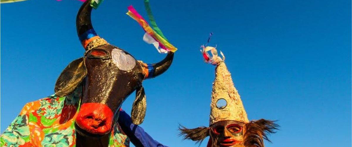 Cultura: Exposição “Bloco do Prazer” entra no roteiro cultural das férias no MAC-CE