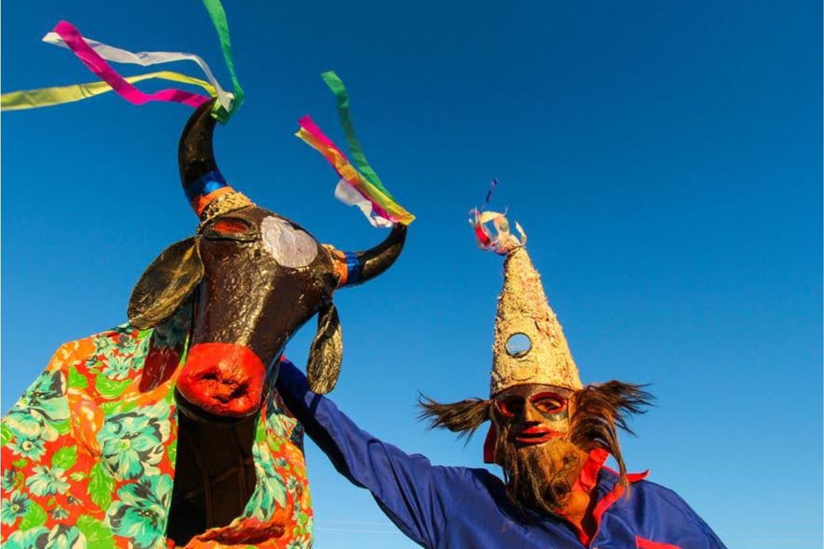 Cultura: Exposição “Bloco do Prazer” entra no roteiro cultural das férias no MAC-CE