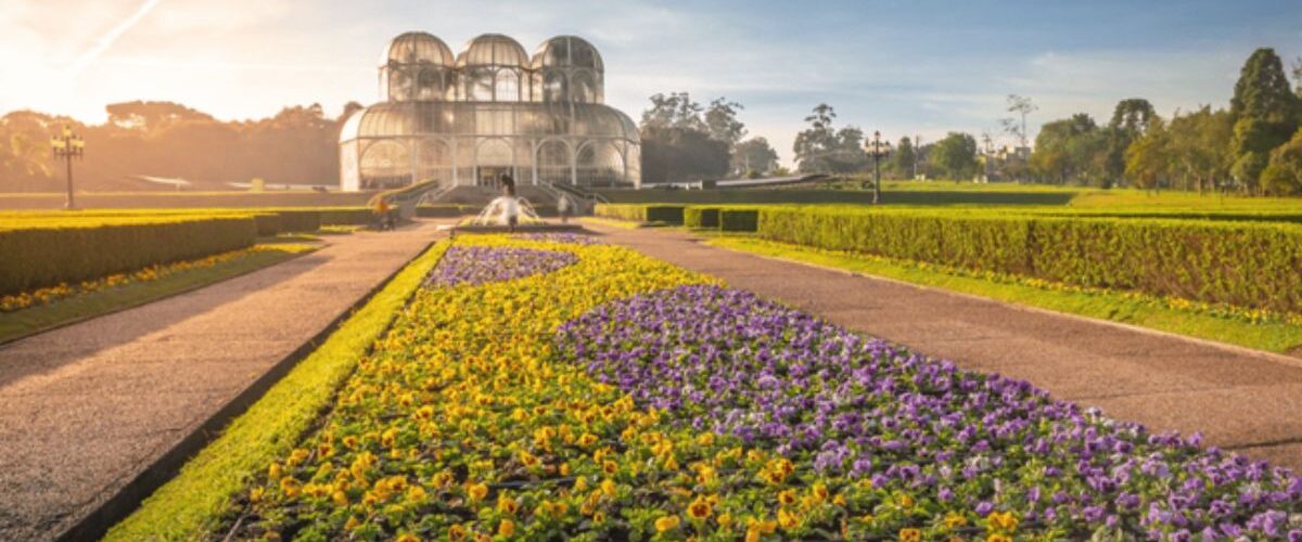 Paraná no verão: águas exuberantes, natureza preservada e sabores que contam histórias