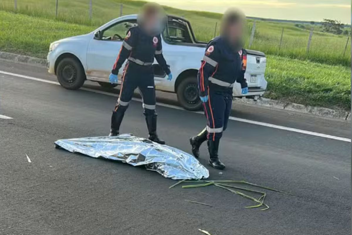 Incidente: Mulher atropelada em rodovia é declarada morta pelo Samu e reanimada minutos depois em Bauru