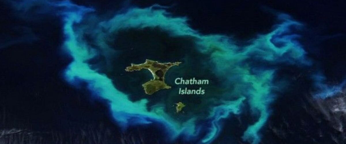 Fenômeno: Satélite revela ilha cercada por anel verde brilhante no oceano; entenda