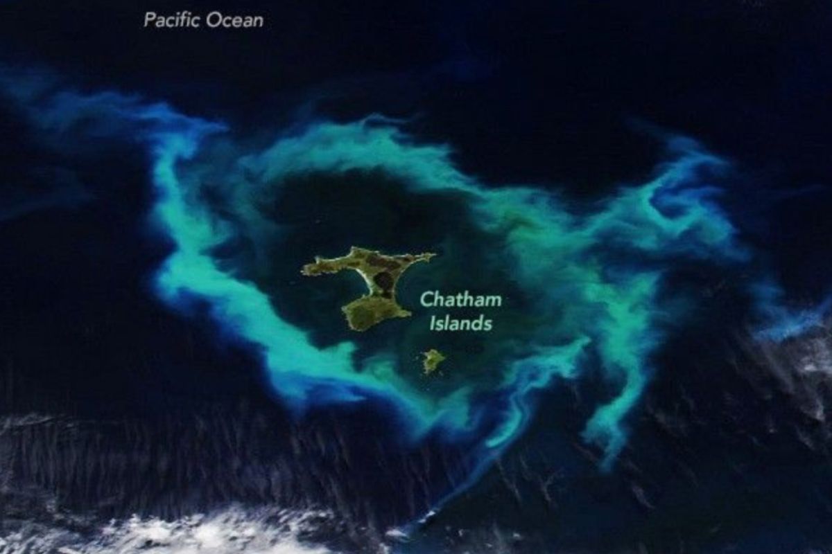 Fenômeno: Satélite revela ilha cercada por anel verde brilhante no oceano; entenda