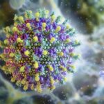 Saúde: MS descarta risco do vírus Nipah no Brasil