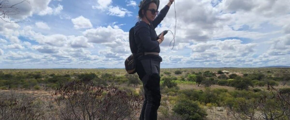 Ciência: Cientista percorre o Brasil e encontra na Caatinga seu campo de atuação