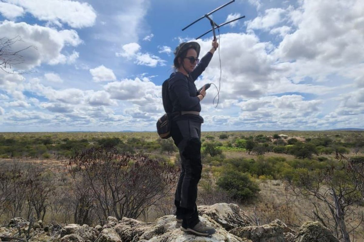 Ciência: Cientista percorre o Brasil e encontra na Caatinga seu campo de atuação