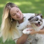 Causa Animal: Alece promove evento Pet com vacinação, adoção e ações educativas