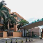 Saúde: Anvisa alerta sobre cúrcuma em cápsulas