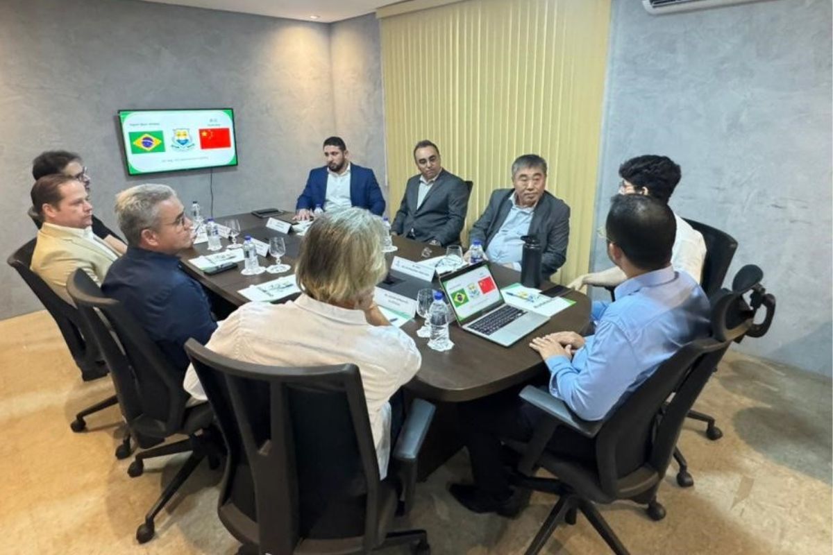 Economia: Investimento chinês chega ao Eusébio