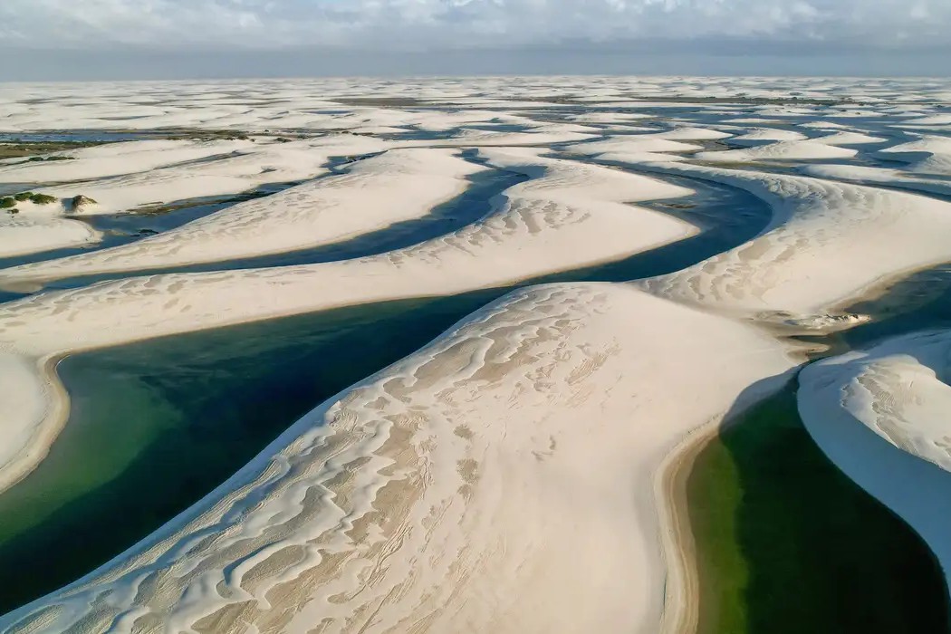 Ambiente: Unesco destaca papel global de áreas protegidas