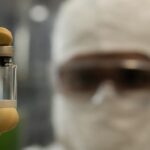Anvisa libera produção nacional de vacina chikungunya