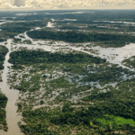 Ambiente: Xingu sofre impactos após Belo Monte
